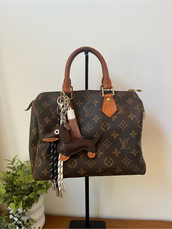Louis Vuitton Handbags - Authentic Louis Vuitton Speedy 25